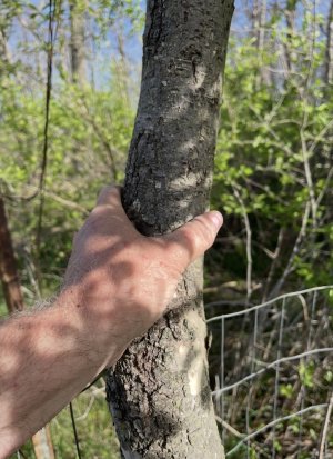 IMG_9286.jpeg