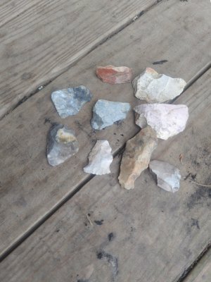 20250427_145728.jpg