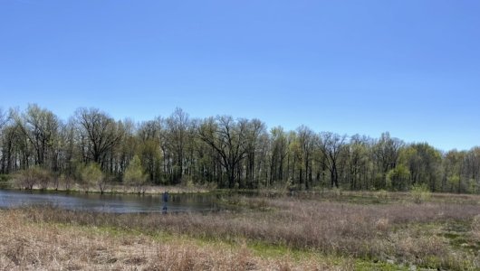 IMG_9335.jpeg