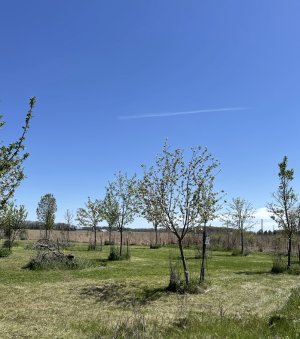 IMG_9340.jpeg