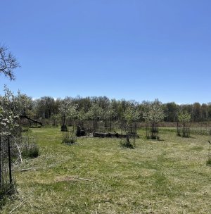 IMG_9341.jpeg