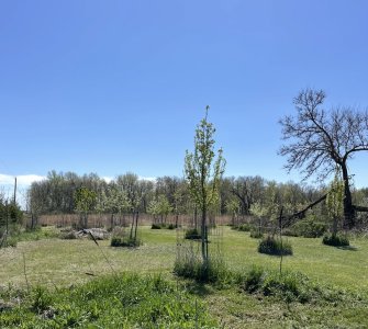 IMG_9343.jpeg