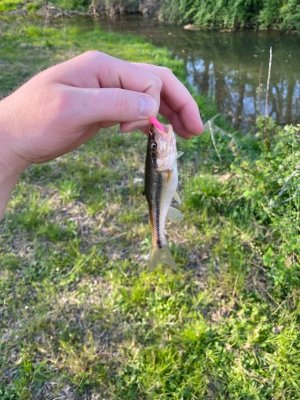 IMG_5438.jpeg