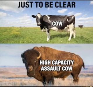 1745949975944.png