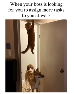 1746027710892.png