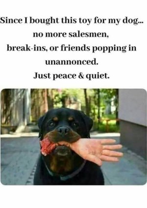 FB_IMG_1746036289007.jpg