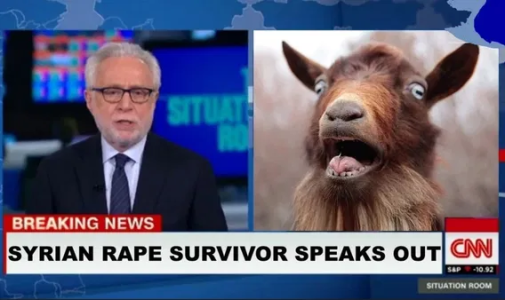 1746121483992.png