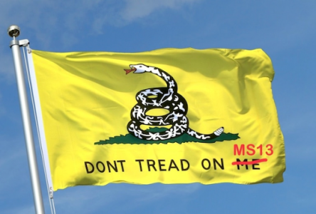 IMG_7087.png