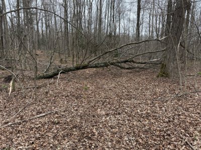 IMG_3482.jpeg