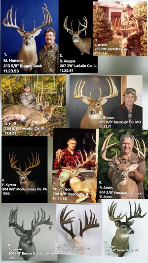 FB_IMG_1746418596658.jpg