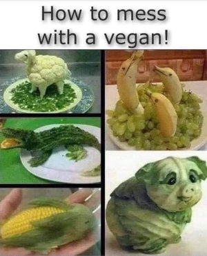 FB_IMG_1746319184103.jpg