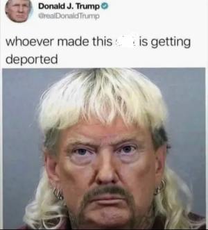 1746468242626.png