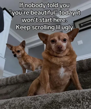 1746468305884.png