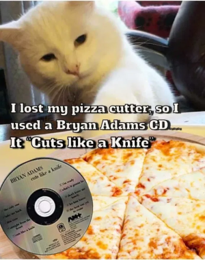 1746472503498.png