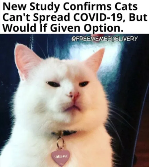 1746472587291.png