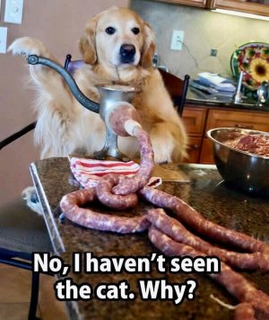 FB_IMG_1746545230806.jpg