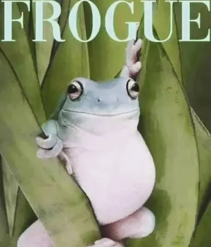 1746645662262.png