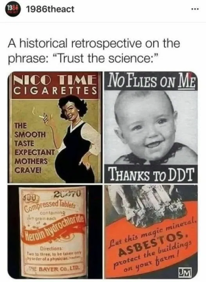 1746647486907.png