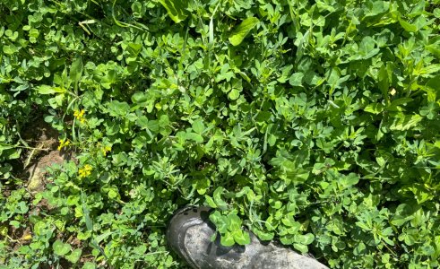 IMG_0187.jpeg