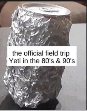 1746732548796.png