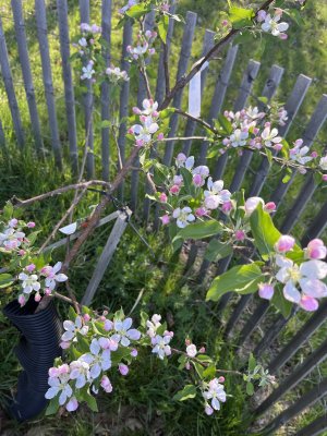 IMG_7553.jpeg