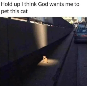 1746815976125.png