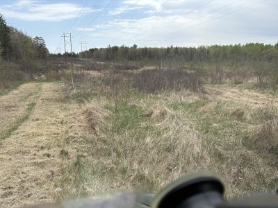 IMG_2369.JPG