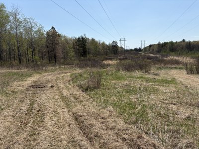 IMG_2366.JPG