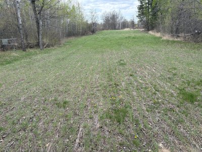 IMG_2363.JPG