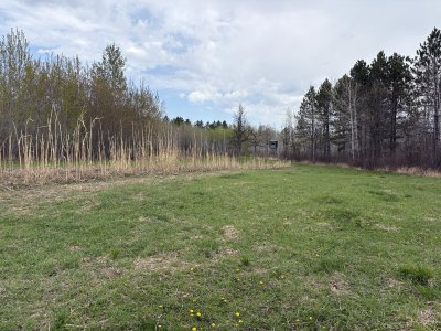 IMG_2362.JPG