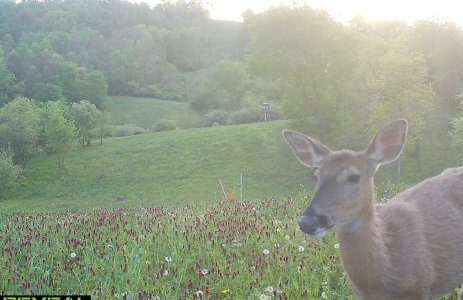 IMG_2221.jpeg