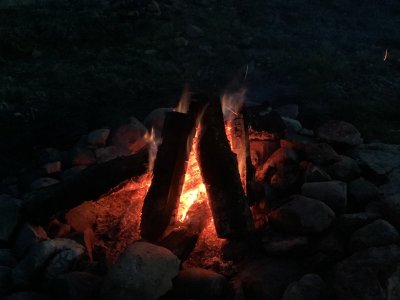 IMG_1333.jpeg