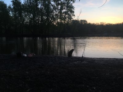 IMG_2937.jpeg