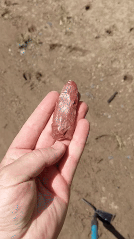 download.gif