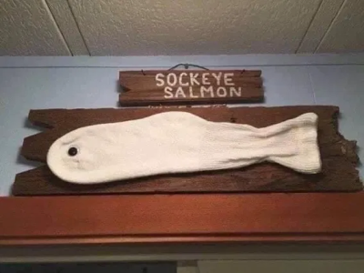 1747248924997.png