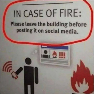 1747337453240.png