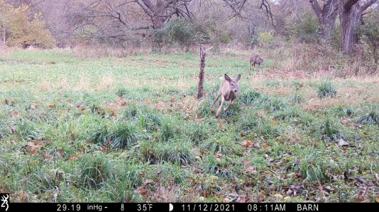 IMG_0173.JPG