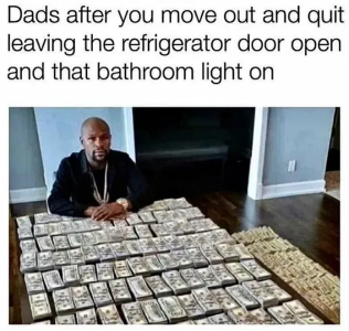 1747418667301.png