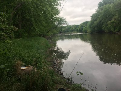 76917550302__634395B9-EDFD-44D5-8CAA-B97FD5FD0F59.jpeg