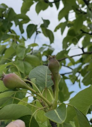 IMG_9442.jpeg