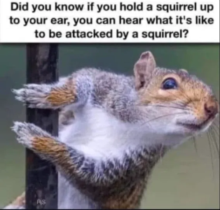 1747760946871.png