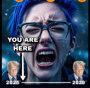 1747761537086.png