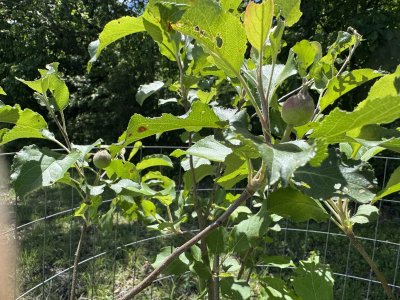 IMG_5408.jpeg