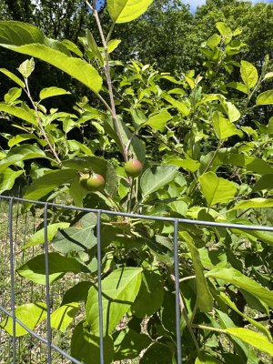 IMG_5410.jpeg