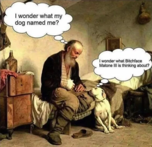 1747935175532.png