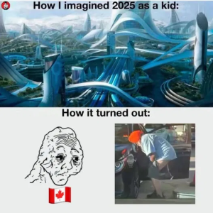 1747939469836.png