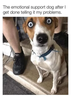 1748029783756.png