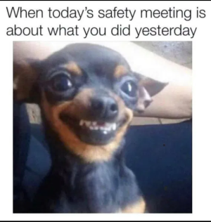 1748032574025.png