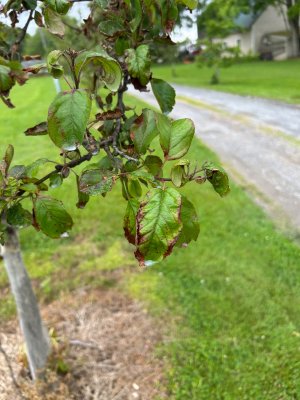 IMG_0336.jpeg