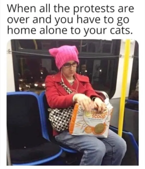 1748450604620.png